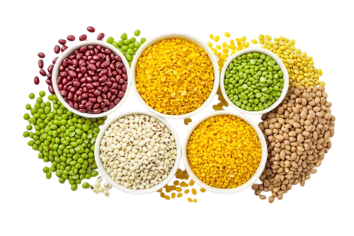 Pulses & Grains
