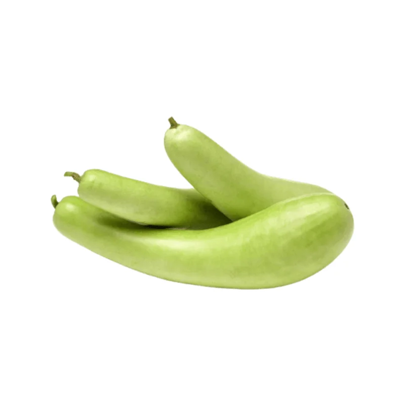 Groceteria Fresh - 250g+ Fresh Lauki Long (Bottle Gourd)